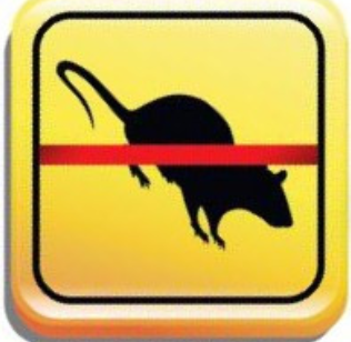 Radical 3D Traitement